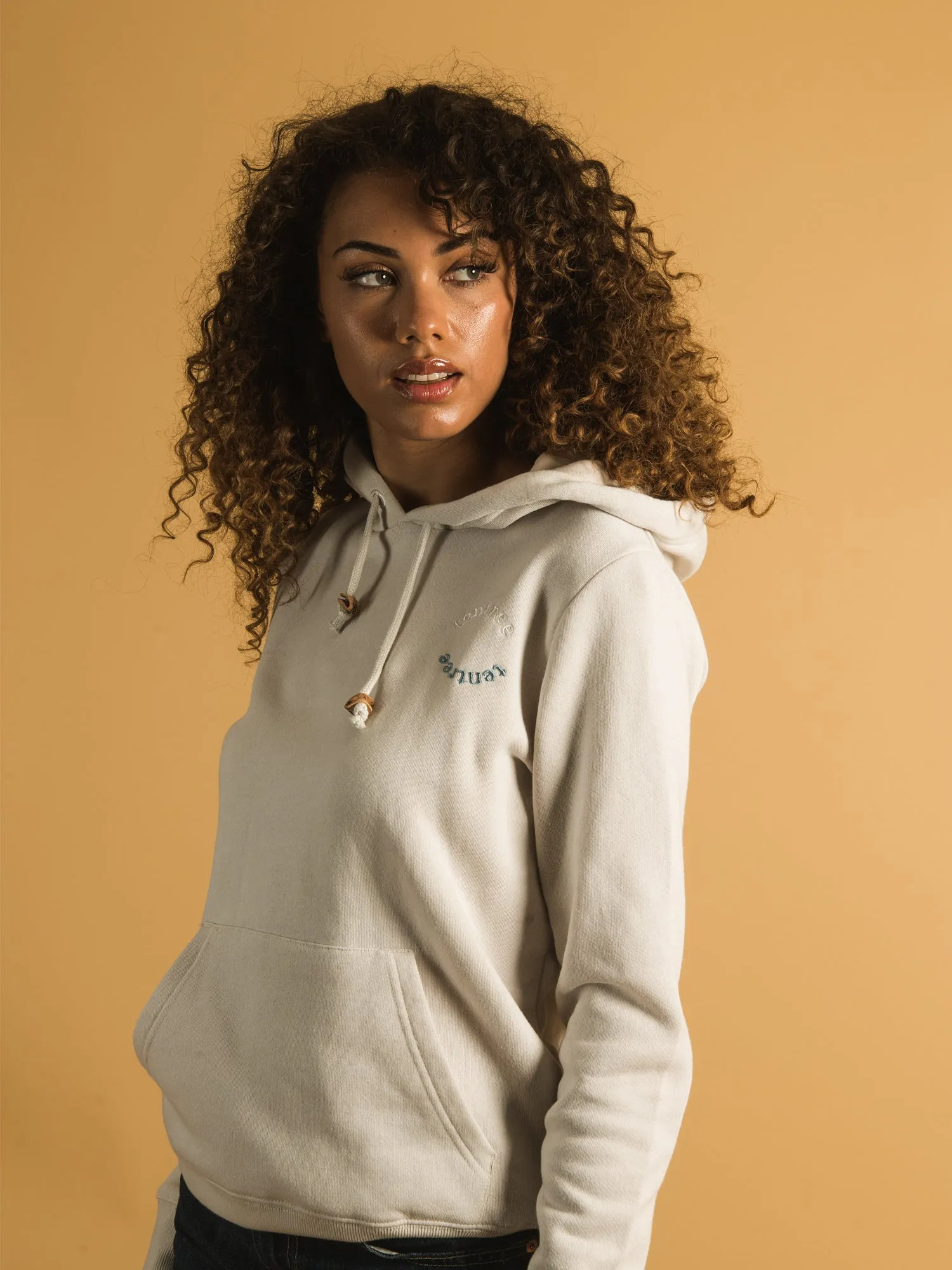 TENTREE ARC EMBROIDERED LOGO HOODIE  - CLEARANCE